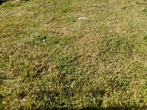 Terreno ubicado en una zona de crecimiento