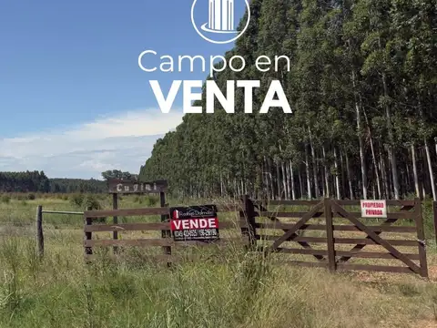 Vendo. campo camino a los charrúas, sobre ruta 4. concordia, er.