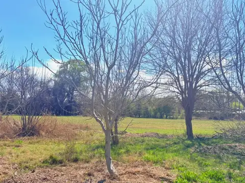 Venta lote tunuyán
