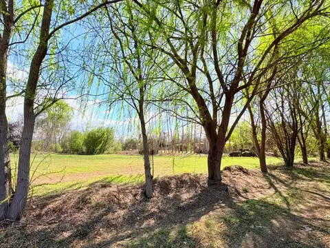 Venta lote tunuyán