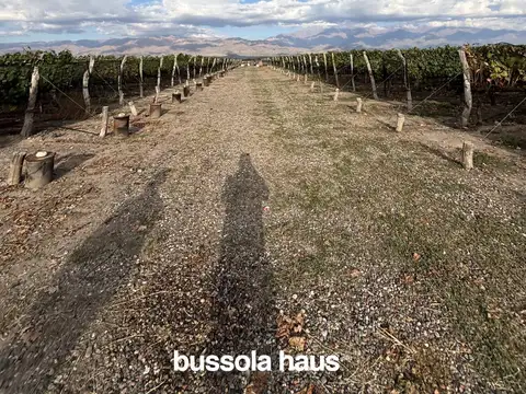 Finca en venta valle de uco