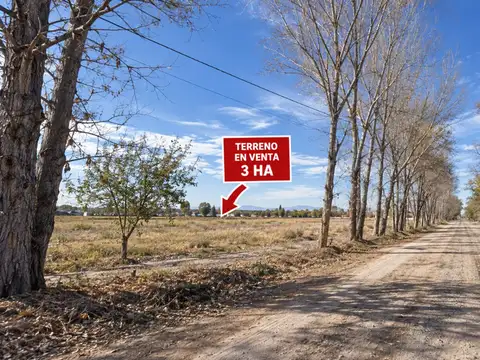 Venta terreno de 3 ha en rn 40 km82tunuyan mendoza