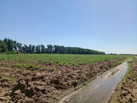 Venta de finca 8 hs en las heras, mendoza
