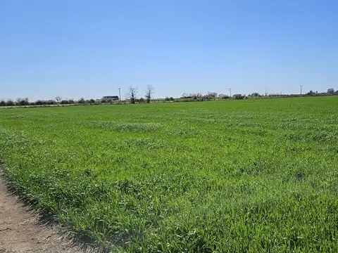 Venta/campo agricola/ ruta nacional 19/ sa pereyra