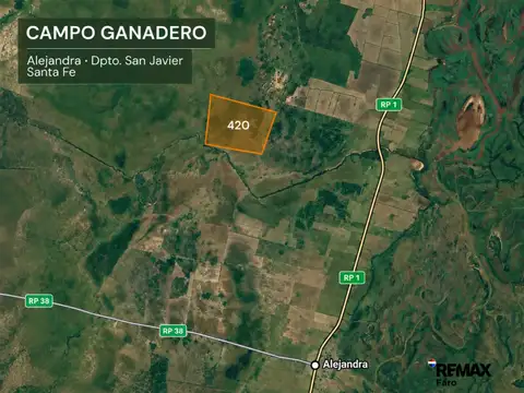 Campo ganadero - alejandra, dpto. san javier