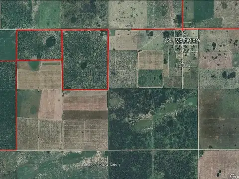 225 ha campo agrcola-ganadero en montefiore