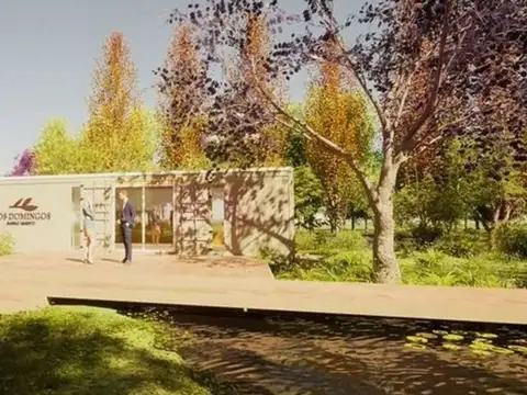 Lote en venta los domingos