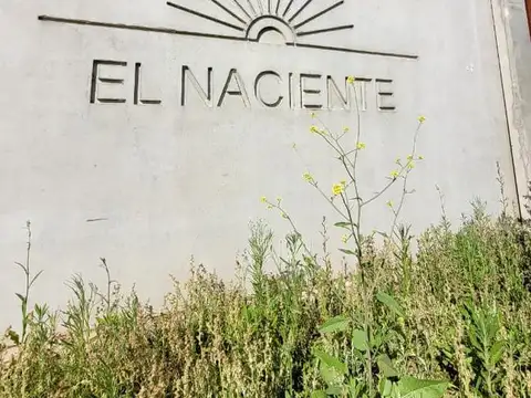 Terreno sobre av. argentina | loteo el naciente
