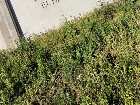 Terreno 546m2 sobre av. argentina | loteo el naciente