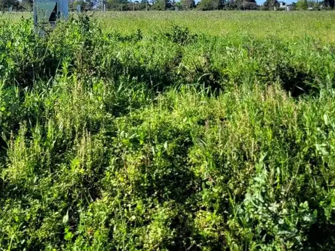 Terreno en esquina 546m2 | loteo el naciente, esperanza