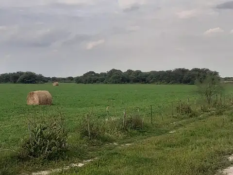 Se vende "campo la chispita" en independencia