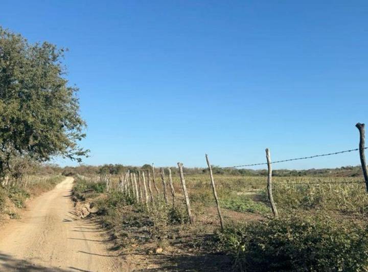 Campo · 15000ha