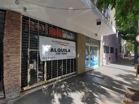 Local - palermo