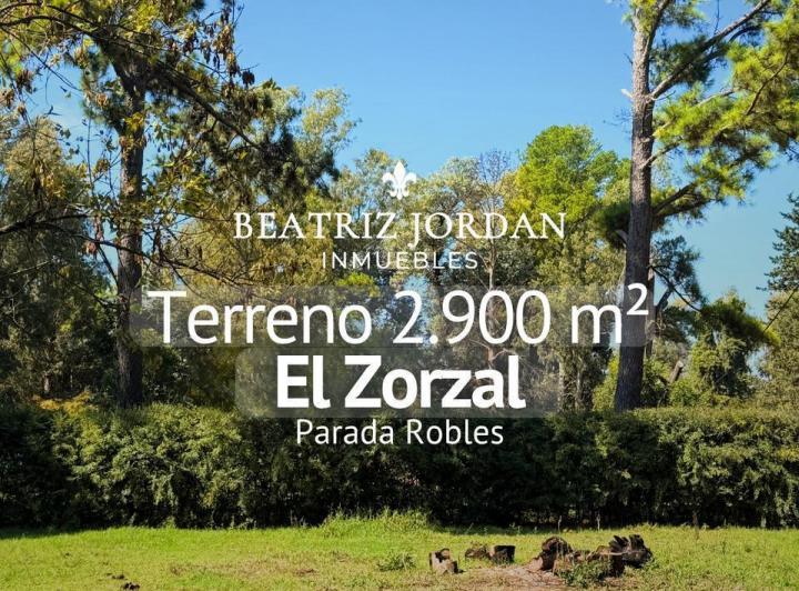 Terreno · 2900m²