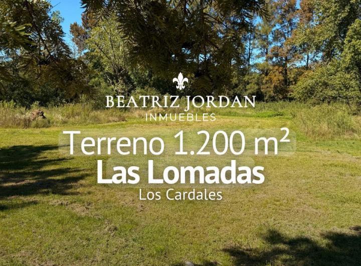 Terreno · 1200m²