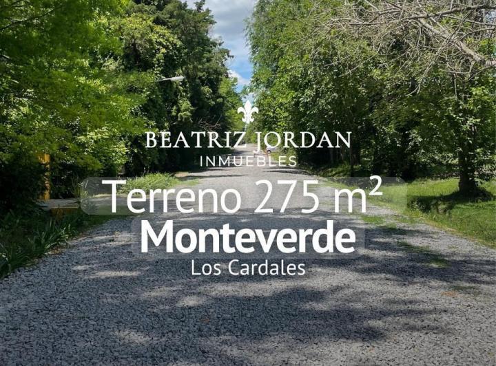 Terreno · 275m²