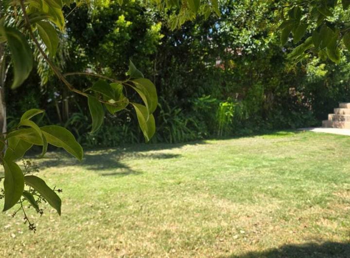 Terreno · 312m²