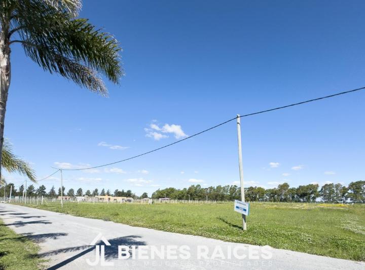 Terreno · 1565m²