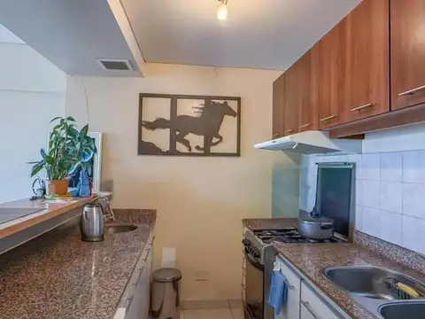 Venta, departamento, 2 ambientes, cochera, piscina, gimnasio, sauna, piso alto, vicente lópez