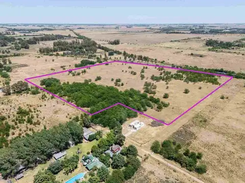 Chacra de 1 hectarea en venta en cañuelas
