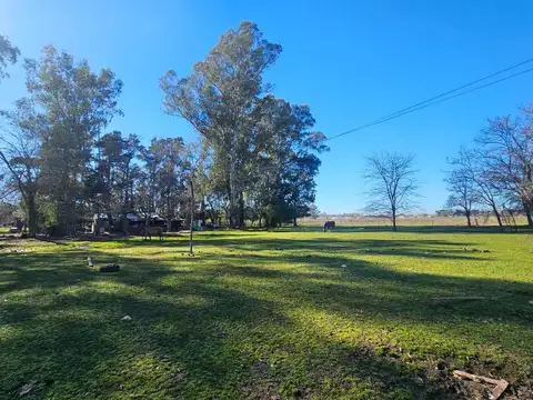 Venta campo 4,5 hectareas en san vicente financia