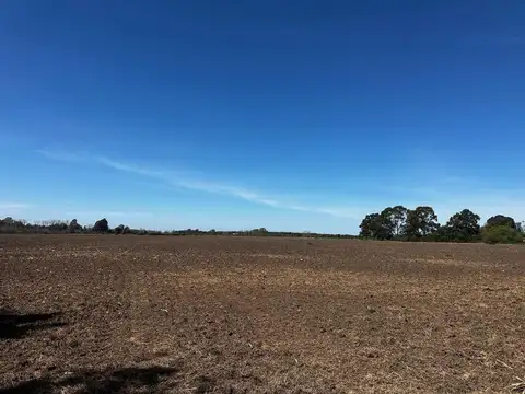 Campo en venta 18 hectareas san andres de giles
