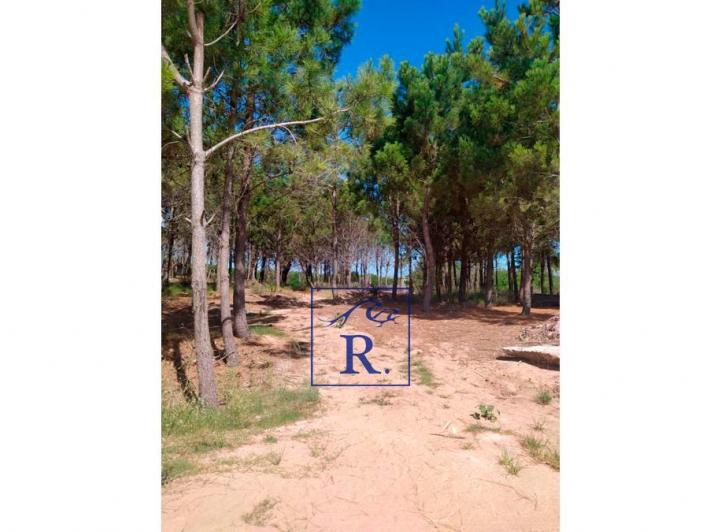 Terreno · 55m²