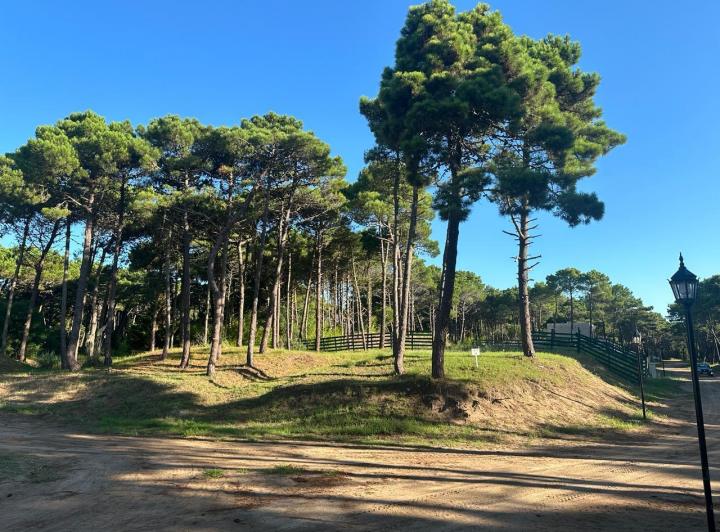 Terreno · 1270m²