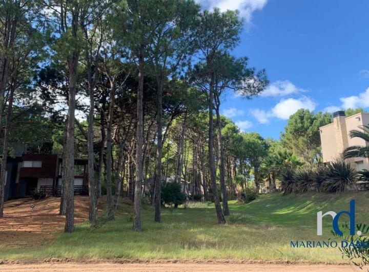 Terreno · 874m²