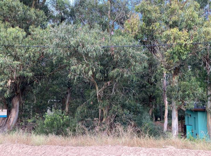 Terreno · 600m²