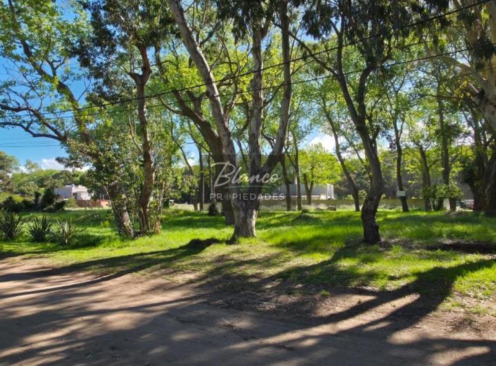 Terreno · 3060m²