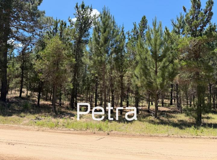 Terreno · 1221m²