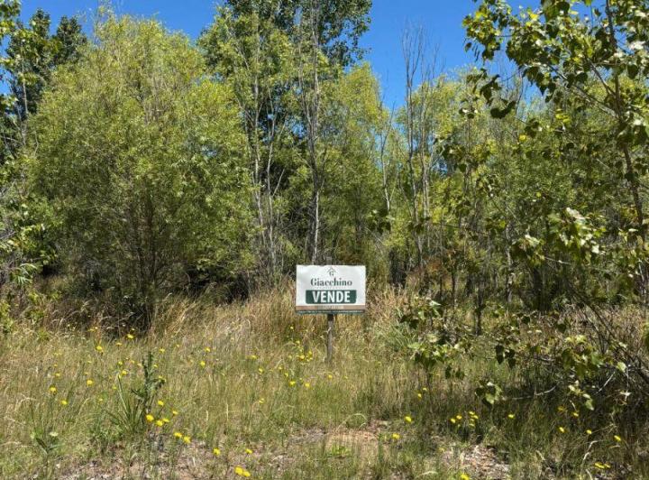 Terreno · 1000m²