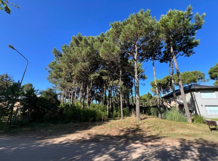 Terreno · 657m²