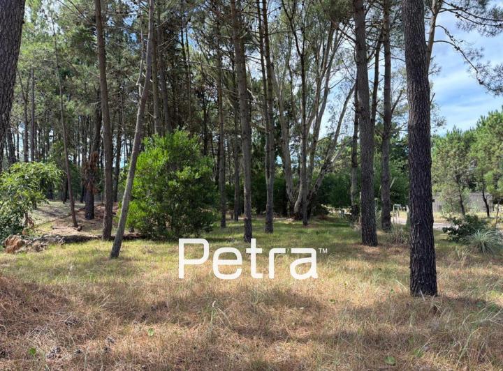 Terreno · 995m²