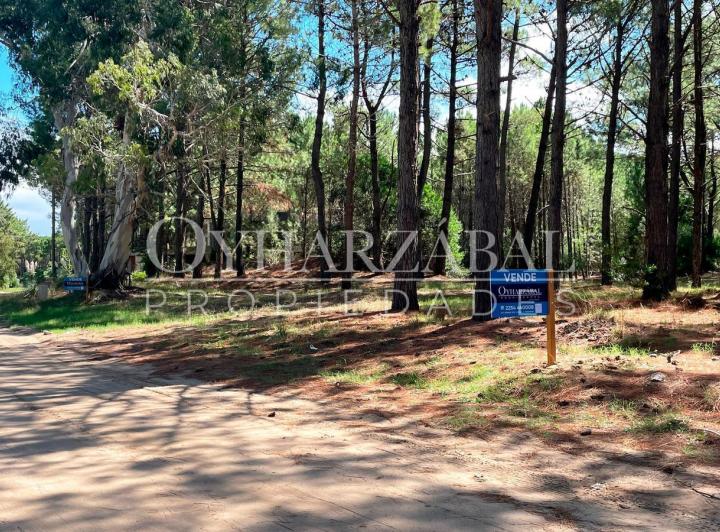 Terreno · 1182m²