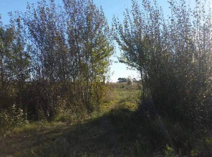 Terreno · 2000m²