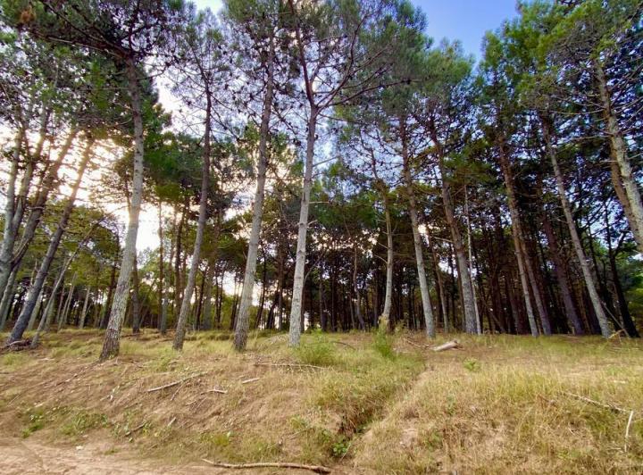 Terreno · 869m²