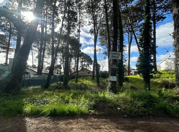 Terreno · 490m²