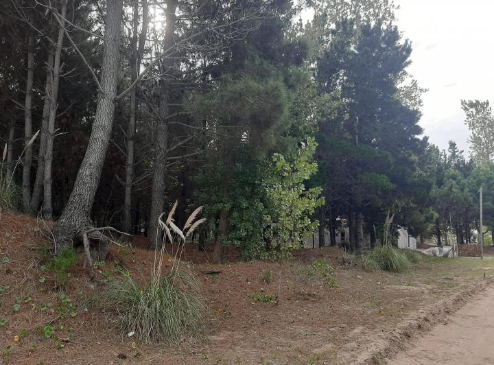 Terreno · 1000m²