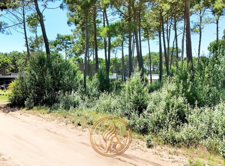 Terreno · 800m²