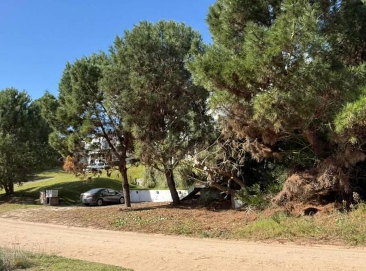 Terreno · 1015m²