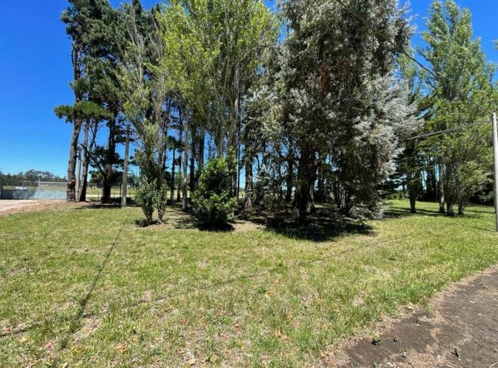 Terreno · 2028m²