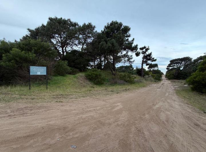 Terreno
