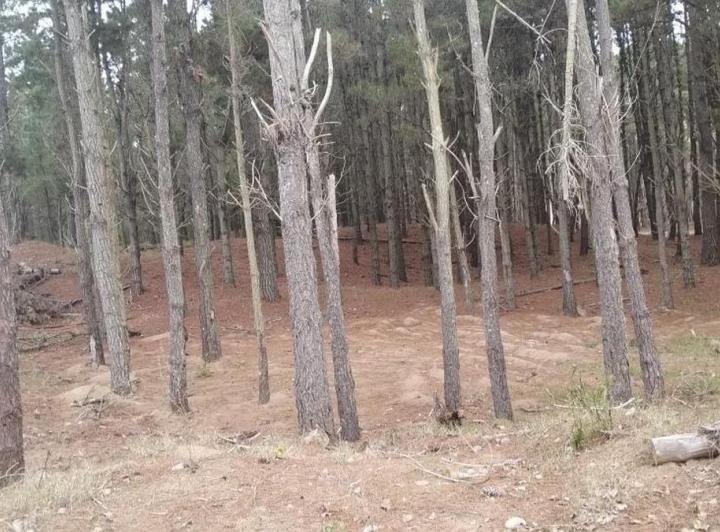 Terreno · 950m²