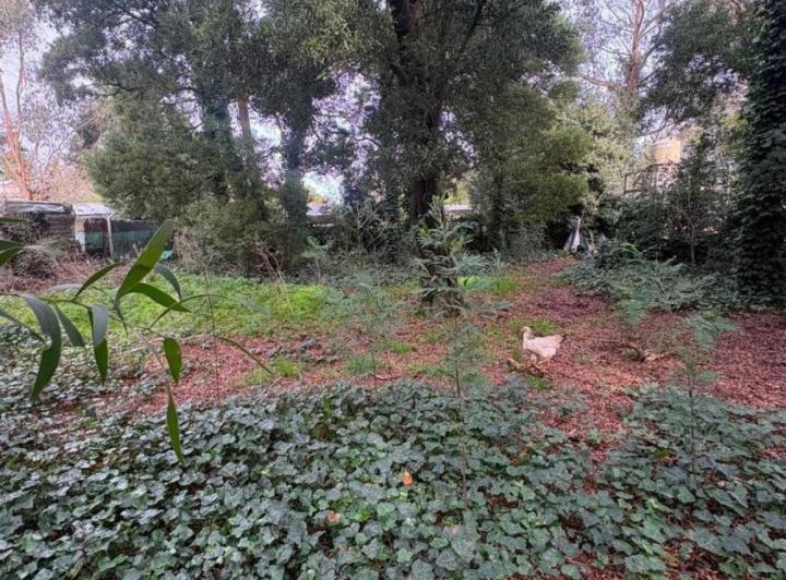 Terreno · 360m²
