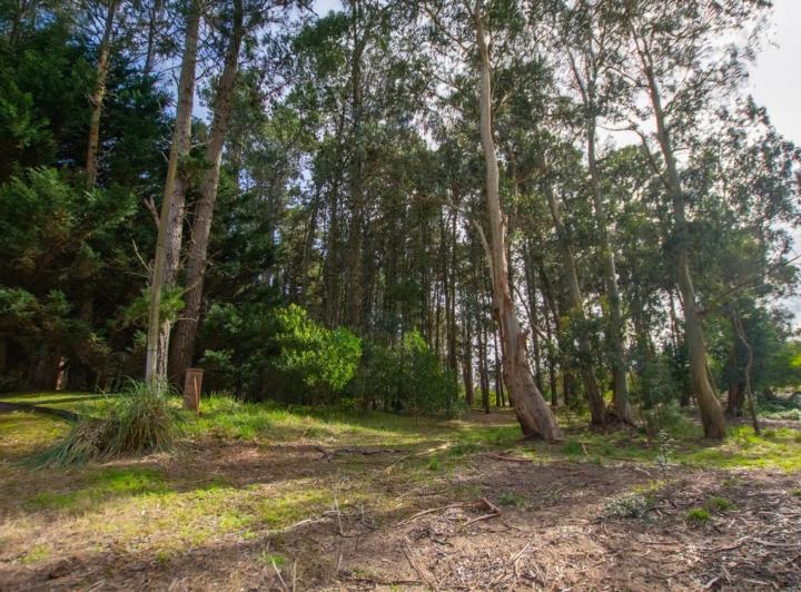 Terreno · 1041m²
