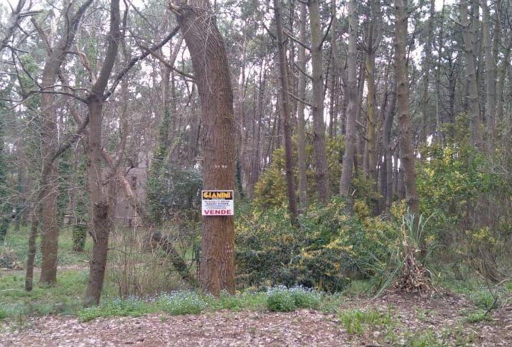 Terreno · 950m²