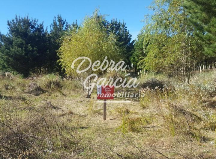 Terreno · 995m²