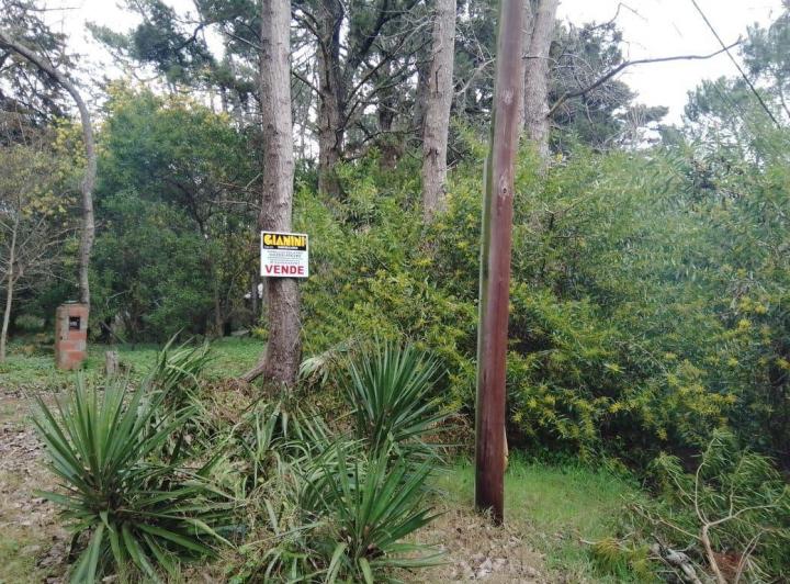 Terreno · 675m²